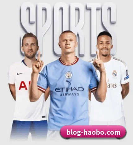 坚持做好基础的事 | haobosports